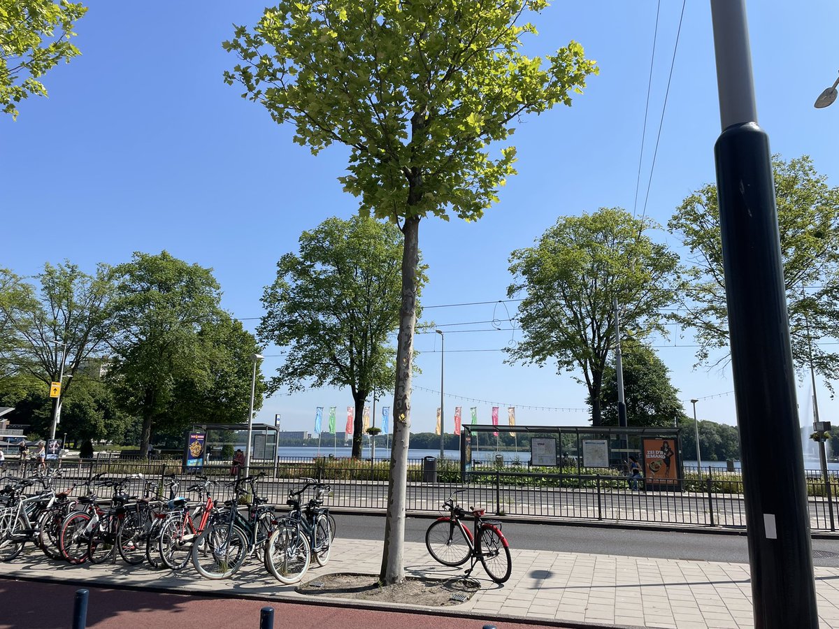 bartul's tweet image. Amsterdam, @ddd_eu, sun &amp;amp; bike. Perfection.