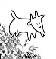 ヤギ 