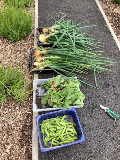 King's High School tweet media