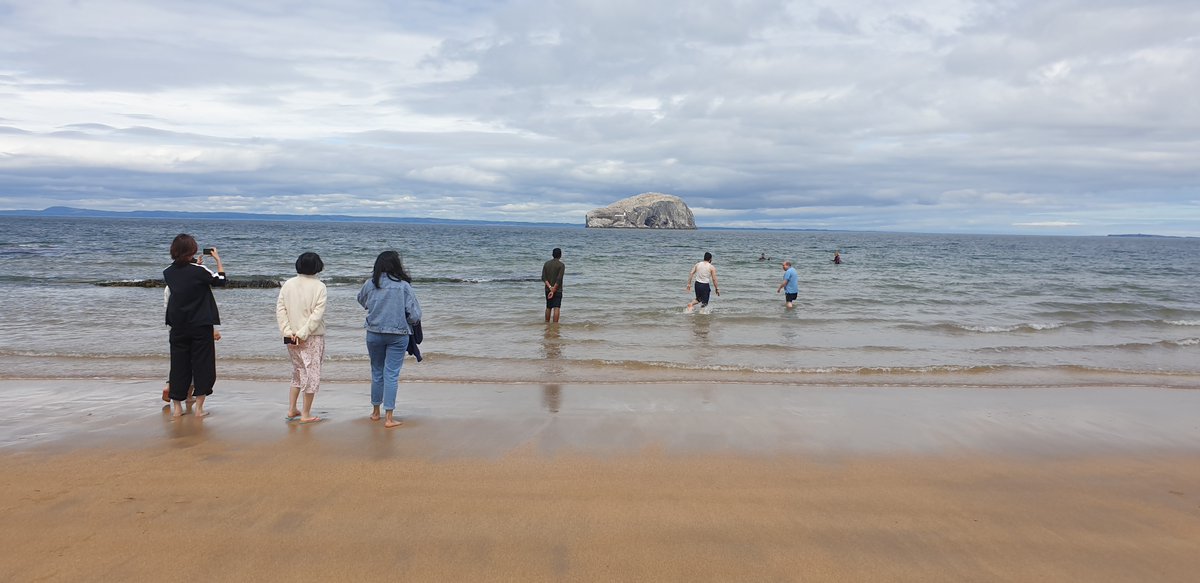 Bachmann Lab tweet media