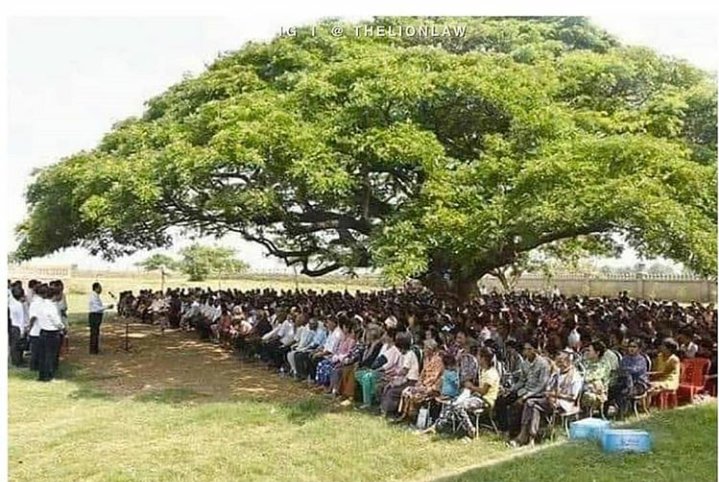 The value of a single tree!

Dear Humans, #RestoreOurEarth

#ClimateCrisis #FridaysForFuture #SaveSoil #conservation #ClimateEmergency #Sadhguru #ConsciousPlanet #ActNow #GenerationRestoration