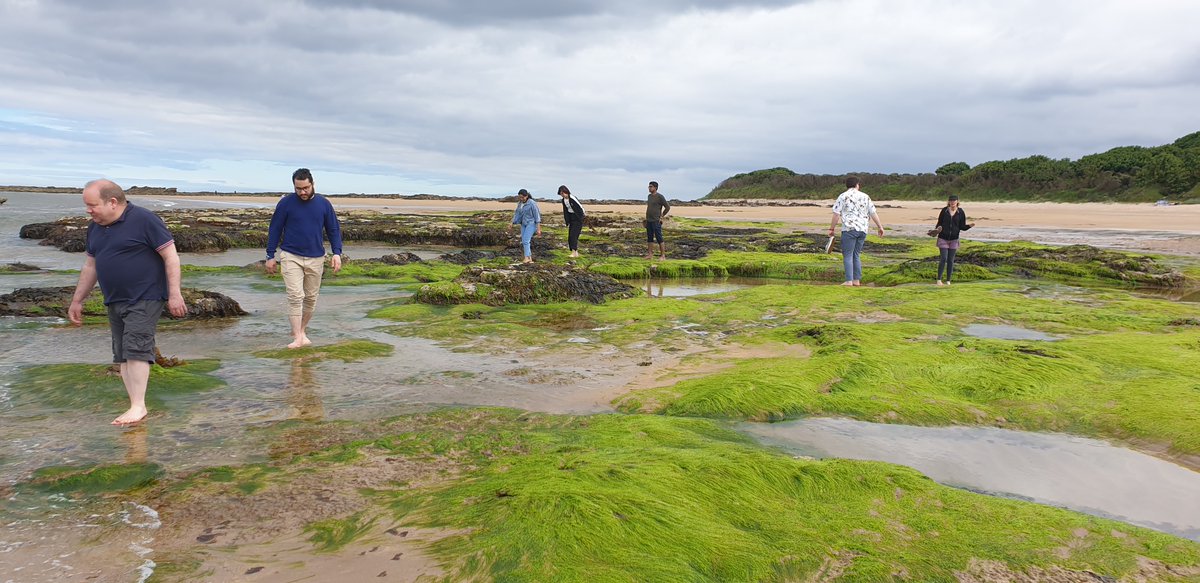 Bachmann Lab (@bachmannlab) on Twitter photo Summer is here! Thank you to our wonderful group for a fantastic lab day out. At the beach! Some much needed fun after a very busy and successful first half of the year. <a href="/BachmannTill/">Till Bachmann</a> <a href="/UoE_IM/">UoE Infection Medicine</a> #awaydays #studentlife #northberwick #beachvibes Summer is here! Thank you to our wonderful group for a fantastic lab day out. At the beach! Some much needed fun after a very busy and successful first half of the year. <a href="/BachmannTill/">Till Bachmann</a> <a href="/UoE_IM/">UoE Infection Medicine</a> #awaydays #studentlife #northberwick #beachvibes
