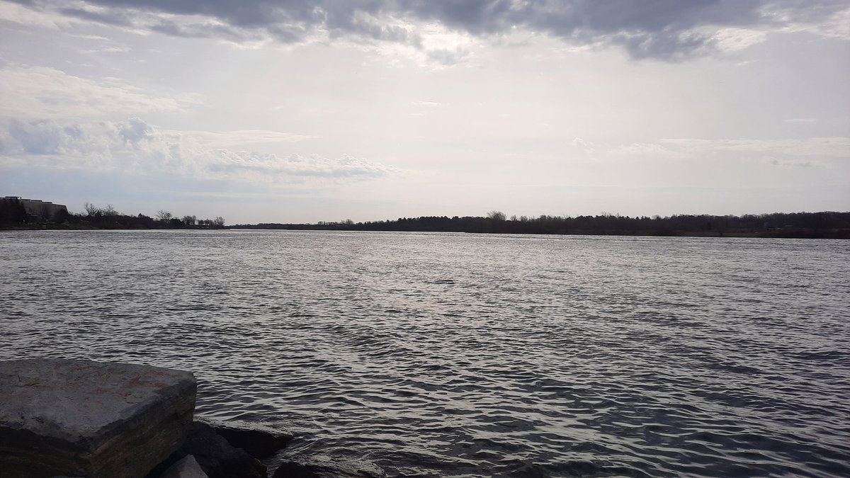 Jeffrey S Rafuse🌳 on Twitter: