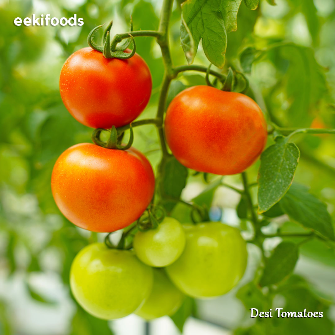 eekiofficial's tweet photo. Reasons why you should always eat eeki's desi tomatoes ๐
๐๐ป Free from pesticides
๐๐ป Low number of calories
๐๐ป Rich source of vitamins
To know more, visit https://t.co/w9oTRImfk9
#sustainablefarming #farming #farm #eeki https://t.co/xw7905Yzfl