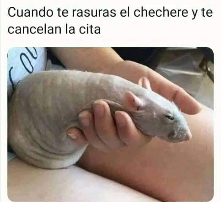 Jajaja😂