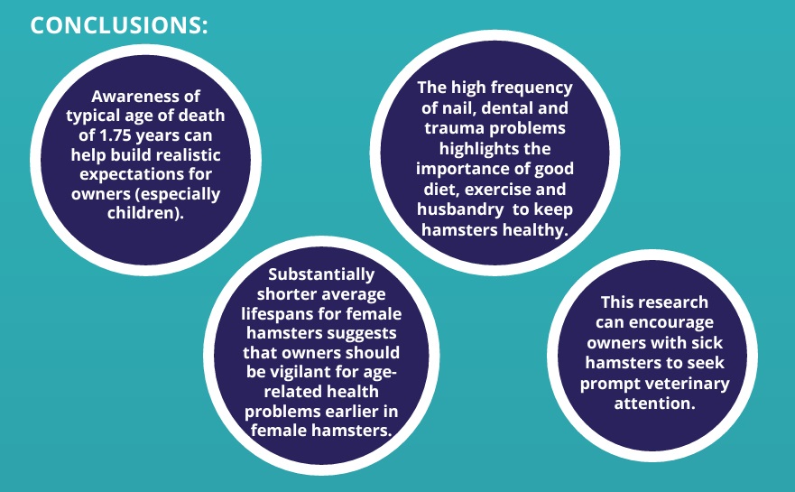 VetCompass on X: 🐹Infographic for the latest paper of the health of pet  hamsters in the UK: Infographic can be accessed here:    / X