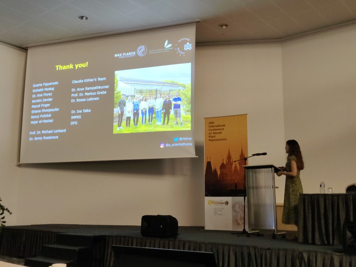 spredlab's tweet photo. It was a pleasure to hear Rita Lima @ritalima95 revealing the role of
seed coat-derived brassinosteroids in non-cell autonomous regulation of endosperm development 🌱 #ICSPR2022 https://t.co/2xoahH69kS