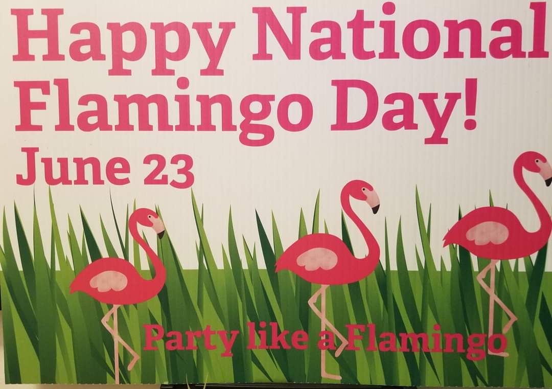 Flamingoman514's tweet photo. https://t.co/Xojvy9OGuz
