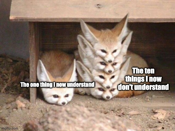 Dr Meming tweet media