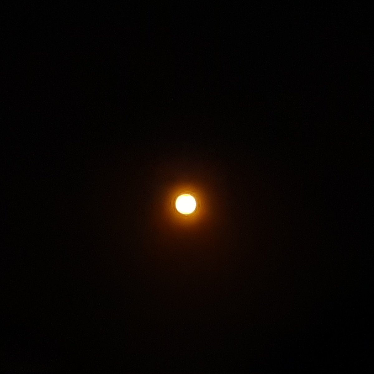 Rubyysun3's tweet image. #FotoProfilBaru