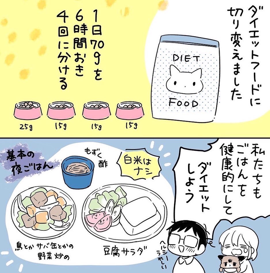 猫がのっちり…になってしまいました

みんなで2kg痩せようね 