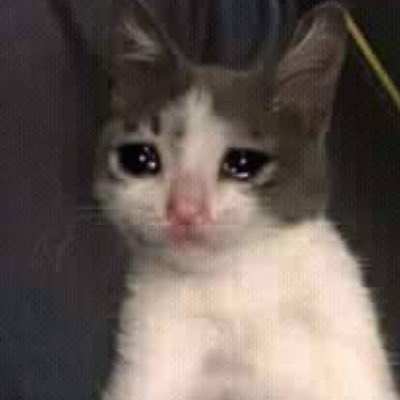 ___alastor___'s tweet image. reading through #gcses2022 upset because my year never got to have a hashtag to bond over

rip angel #gcses2020