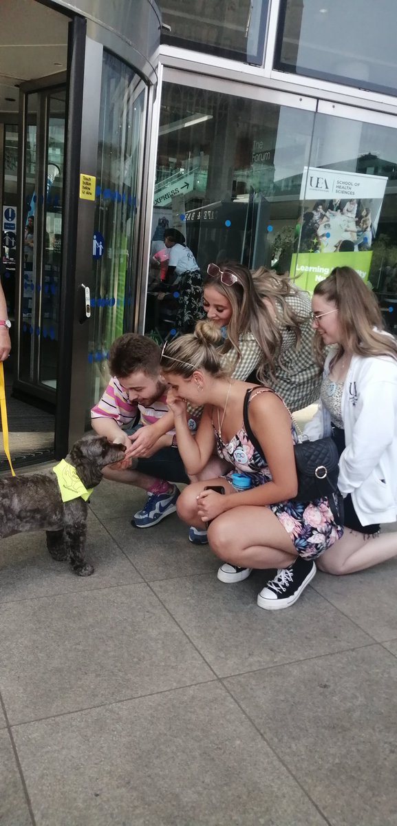 #LDWeek22 #LDWeek2022 <a href="/UEA_Health/">School of Health Sciences</a> <a href="/LDNursingUEA/">UEA Learning Disabilities Nursing #ChooseLDNursing</a> #chooseldnursing @therapydogsuk <a href="/RcnLDForum/">RCN Learning Disability Nursing Forum</a> Sept20 learning disability nursing students meet the therapy dog.