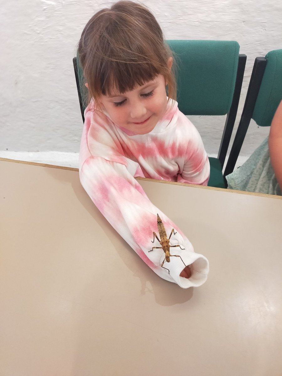 hook_dolffin's tweet photo. How brave were members of Dosbarth Dolffin at Dr Beynon's Bug Farm? https://t.co/ZOgVD5zTX1