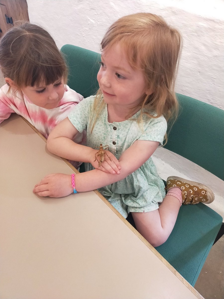 hook_dolffin's tweet photo. How brave were members of Dosbarth Dolffin at Dr Beynon's Bug Farm? https://t.co/ZOgVD5zTX1