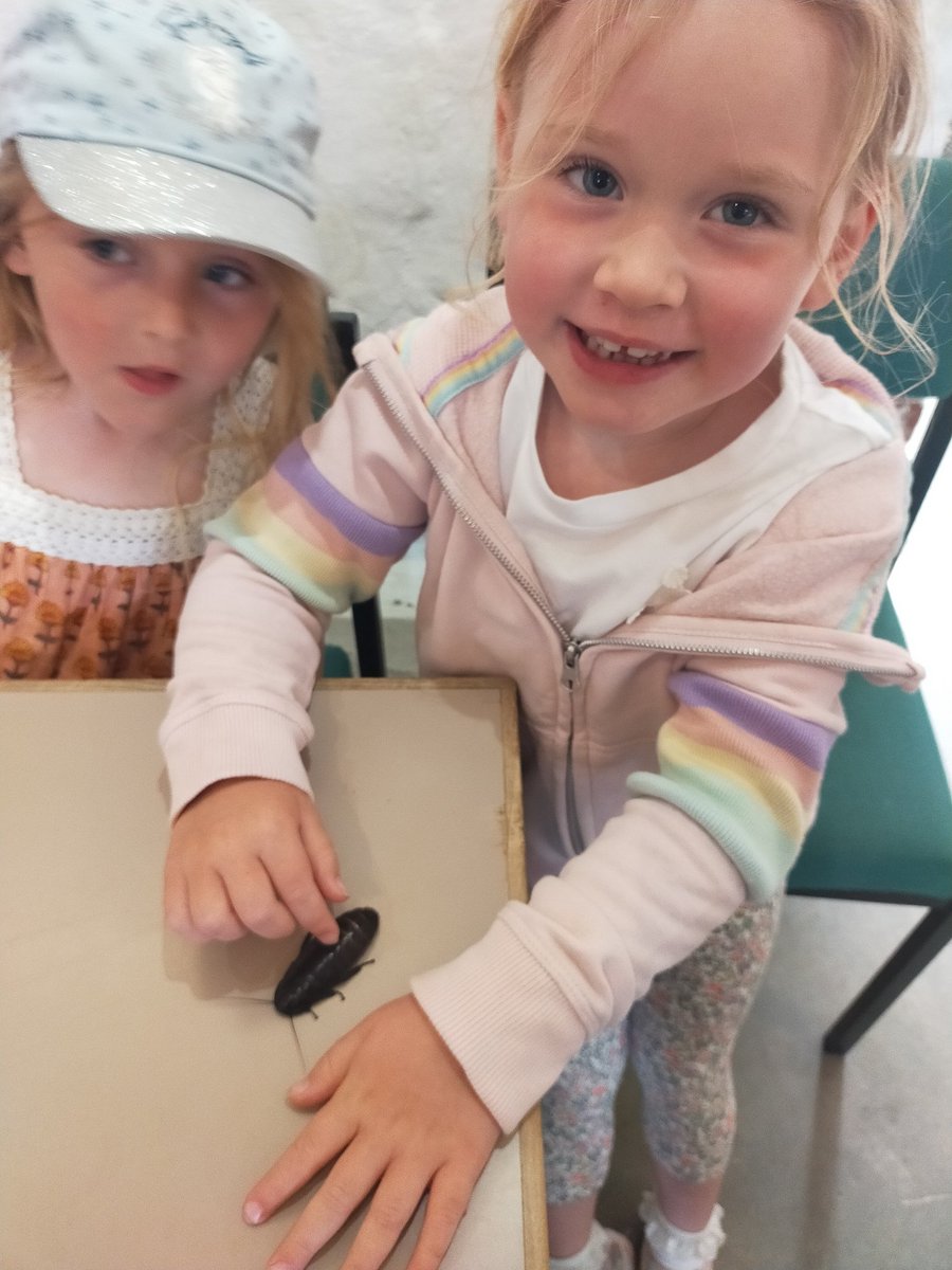 hook_dolffin's tweet photo. How brave were members of Dosbarth Dolffin at Dr Beynon's Bug Farm? https://t.co/ZOgVD5zTX1