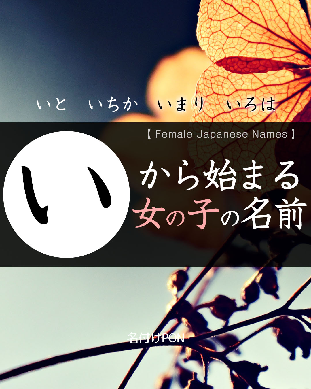 名付けポン 赤ちゃんの名前集 Nazukepon Twitter