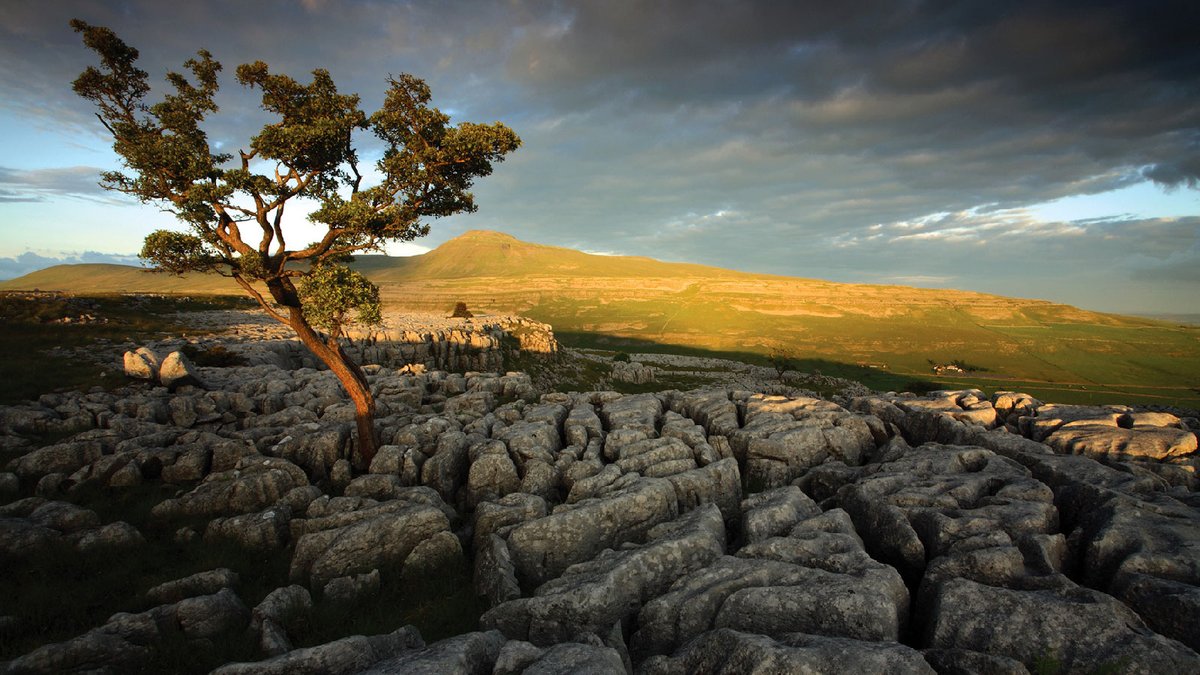 Join us on our trip to Malham Cove and the White Scar Caves!

We're off to visit the heart of the North Yorkshire Dales in the prehistoric caverns of White Scar and an afternoon in and around the pretty village of Malhamon July 16th.

ow.ly/Tn9z50JFtBE