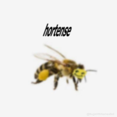 Hortenseblt's tweet image. #NouvellePhotoDeProfil #MerciLeS #PauseMidi #Gbienmange @TDeglingo