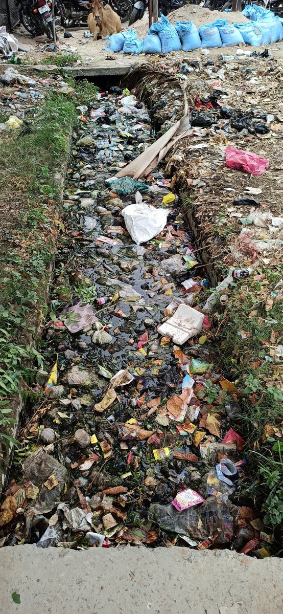Kabir_Social's tweet photo. These beautiful pictures of Nalas in Gonda infront of the most famous college Fatima College . I expect for the necessary action from Nagar Palika Parishad Gonda ASAP @NagarVikasUP @CMOfficeUP @GondaNpp @dmgonda2 https://t.co/2XeU7qqPII