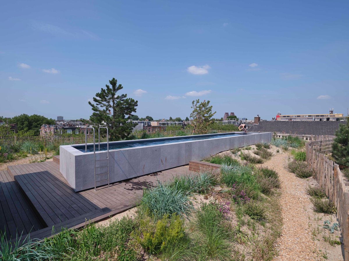 Het duindak van #Groenmarkt in Amsterdam is winnaar van Landezine International Landscape Award in Residential Housing!