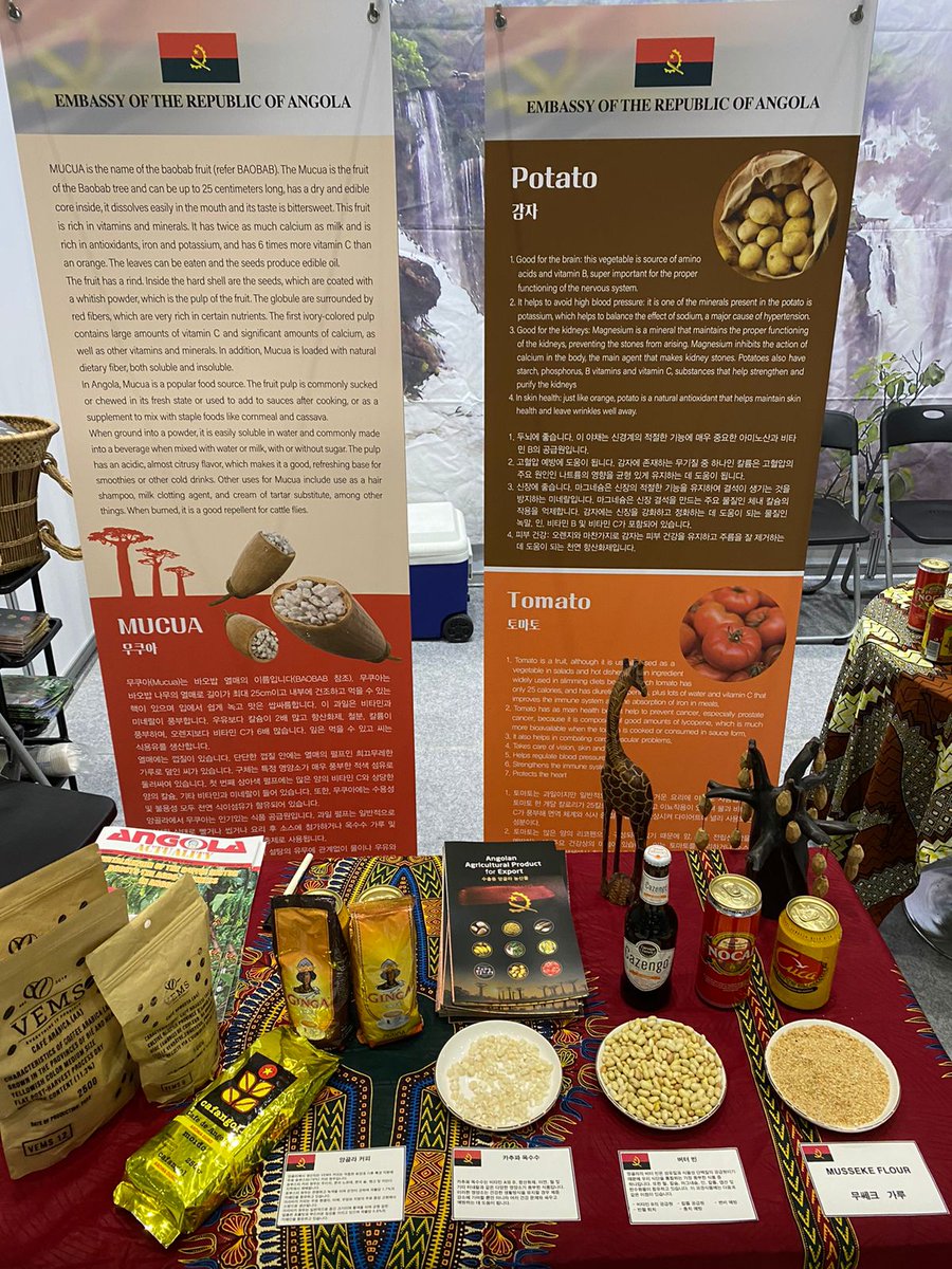 The Embassy of Angola in Korea is taking part, from June 23rd-25th, in the 2022 Imported Goods Fair (IGF), which is being promoted in Seoul, by the Korean Importers Association (KOIMA), with products such as coffee, beans, mucua, white corn, beer Cuca, Nocal and Cazengo.