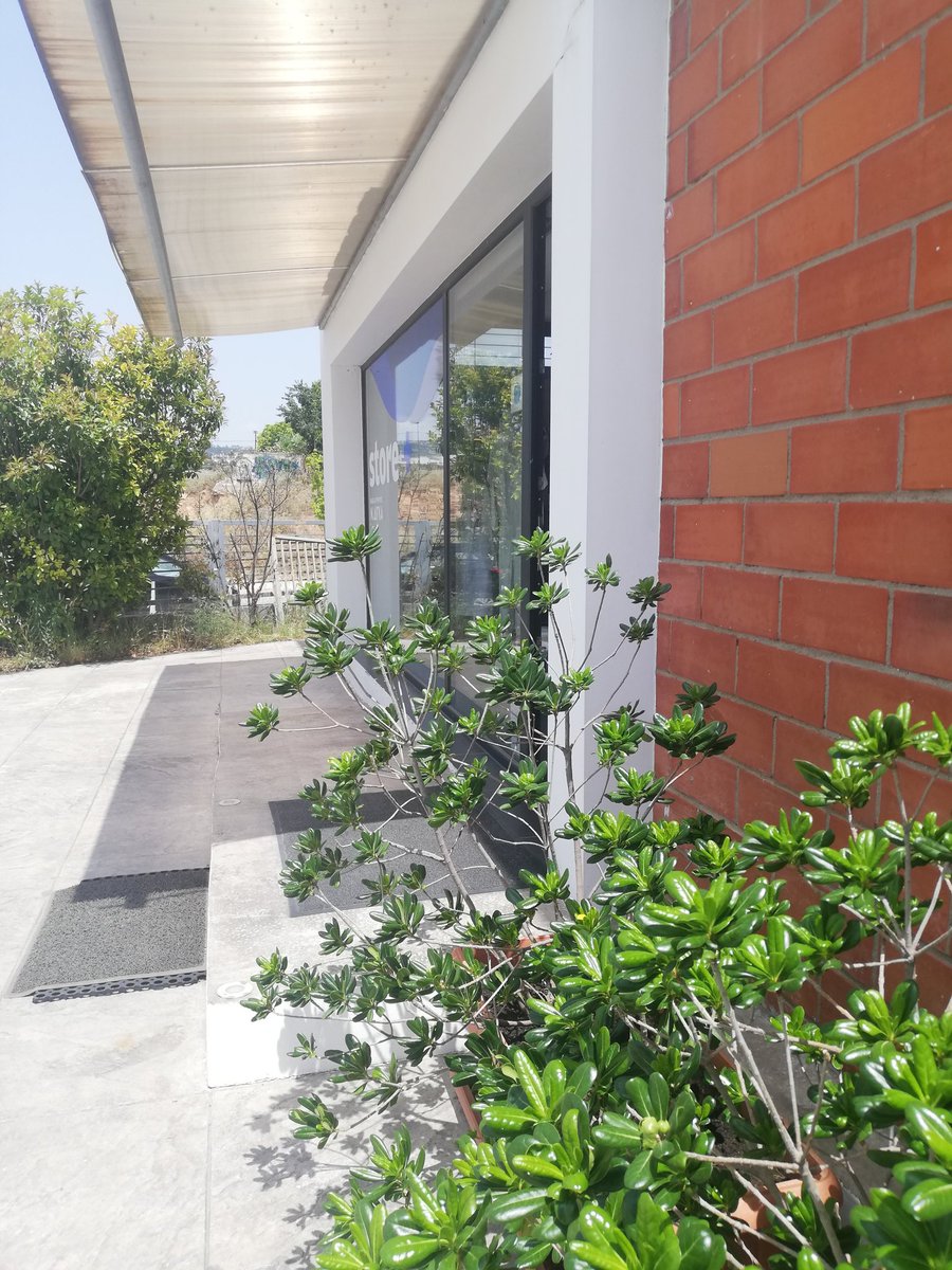 StorePlusMedic1's tweet photo. A sweet breeze &amp;
 a patch of shade
are the loveliest gifts
On hot summer days.

Angie Weiland Crosby

#covid19era #thessaloniki #greece #storeplus #medicalsupplies #medicaldisposables #wedaretocare #summer #shade https://t.co/jipJ1KzJBQ