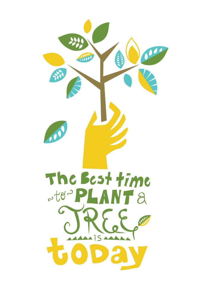 _Manan_Dadhich_'s tweet photo. #plantationCalls #_Manan_Dadhich_ 
@PMOIndia 

Plant a tree , make Earth polution free. https://t.co/trBhRd9ht7