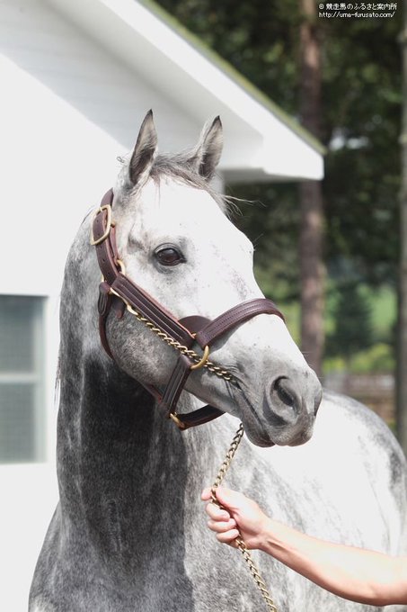 おせるさん の最近のツイート 6 Whotwi グラフィカルtwitter分析