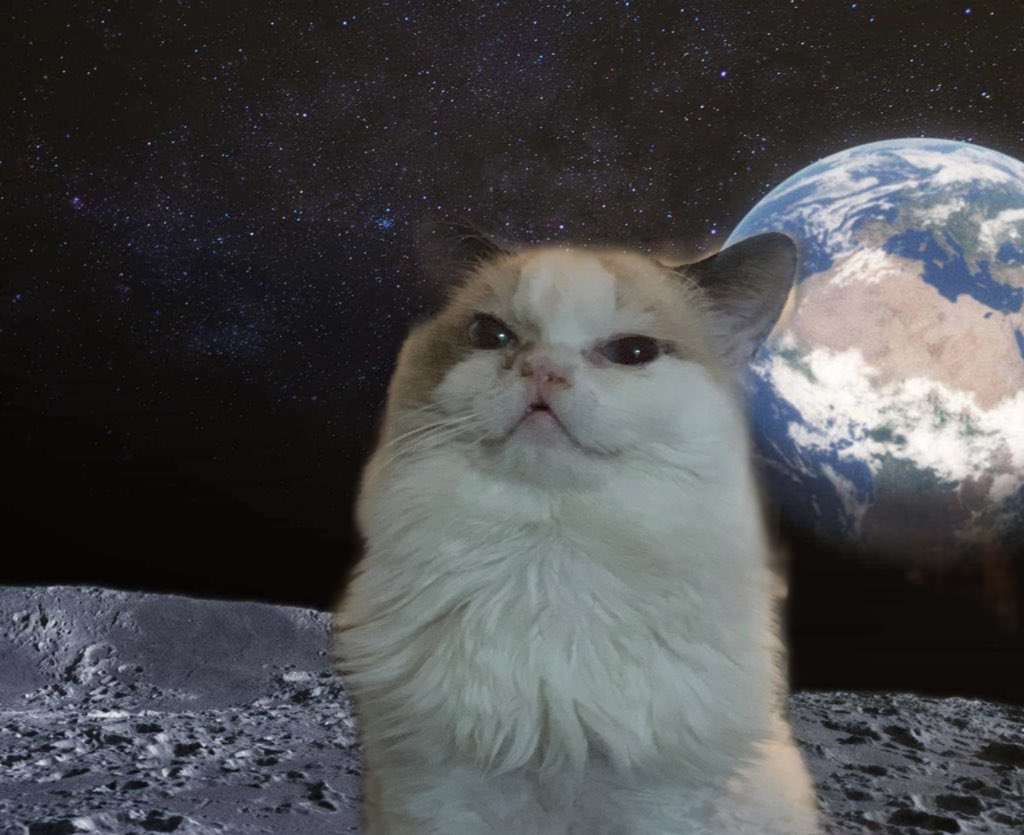 YaeYatoFan's tweet photo. mfw yaeyato (i am on the moon and hence very happy) https://t.co/mzvSVhCqwl