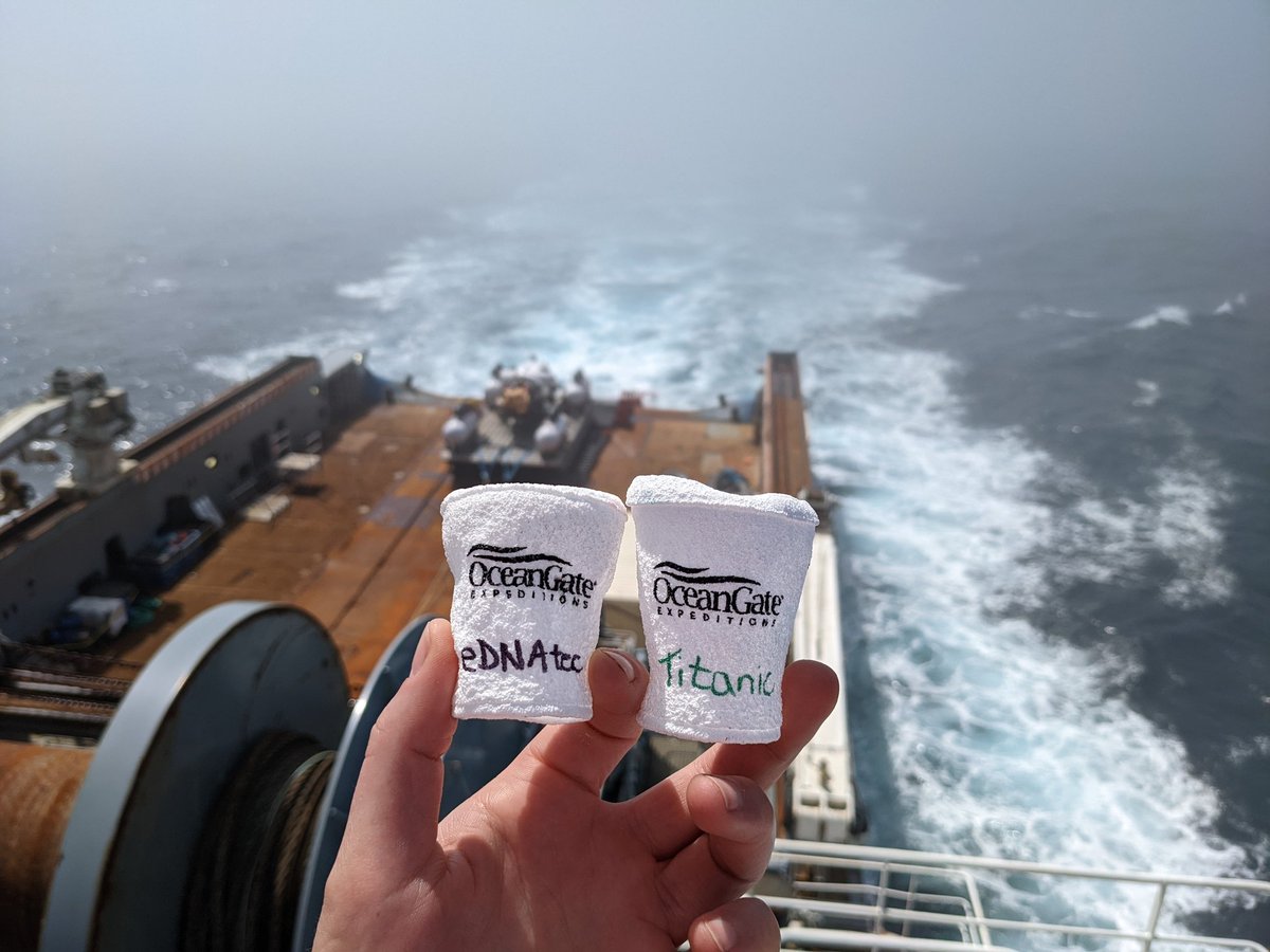 These styrofoam cups went to the Titanic and back! Looking forward to seeing what we'll learn about deep sea biodiversity from this expedition 🧬 #Titanic #eDNA #MarineBiology #MarineScience #DeepSea
