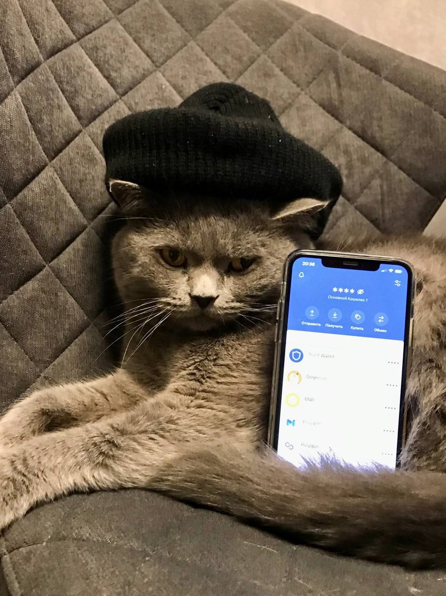 Trust Wallet tweet media