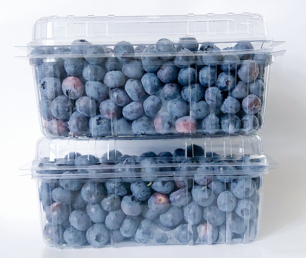 Organik sertifikalı maviyemiş hasatı başladı.
#maviyemiş #blueberry #yabanmersini #sağlıkmeyvesi