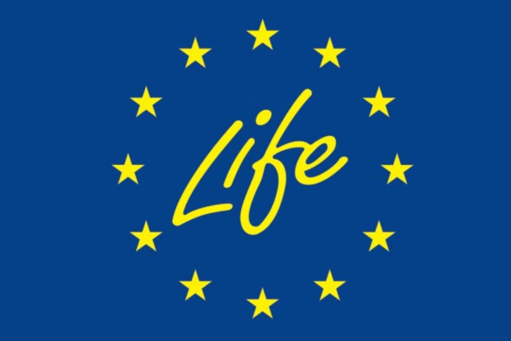 NFOSiGW's tweet photo. Trwa Nabór 2022 w #ProgramLIFE. Jak co roku przygotowujemy dla Państwa tłumaczenia dokumentów udostępnionych przez #KomisjaEuropejska w ramach naboru.  #FunduszeEU #UE @LIFEprogramme @EUinPL @RegioPoland @MKiS_GOV_PL 
🇪🇺
Szczegóły ⤵️
https://t.co/rvc0TWuCxb https://t.co/zt6Pcw5P2G