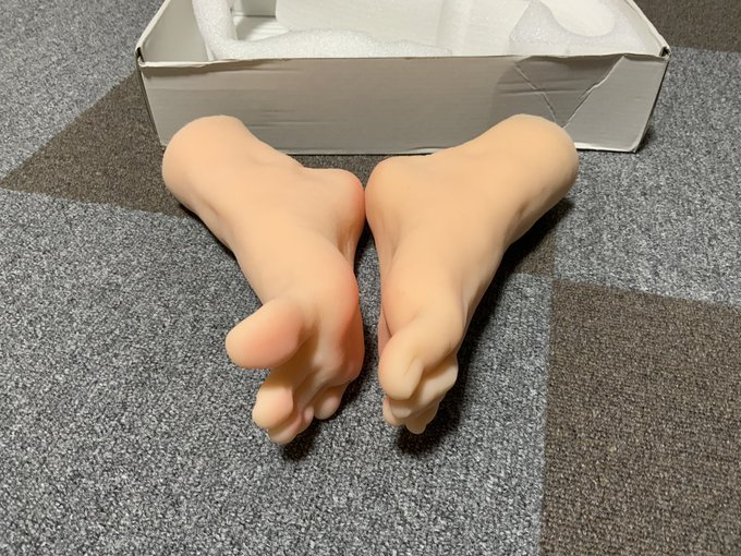 作画資料届いた( ゜σω゜) 