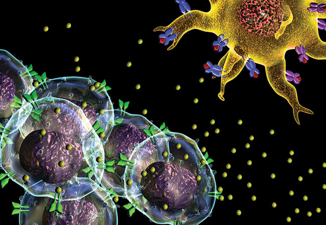 Systems_Immunology_WIS (@sys_immunology) on Twitter photo Proud to present our strategic <a href="/Sys_Immunology/">Systems_Immunology_WIS</a> and <a href="/WUSTLmed/">Test Account</a> SysNeuroImmunology alliance, bringing together the best minds in #Neuroimmunology in shaping the future of the field. More details coming soon on our Spring 2023 joint inauguration meeting <a href="/WeizmannScience/">Weizmann Institute</a> Proud to present our strategic <a href="/Sys_Immunology/">Systems_Immunology_WIS</a> and <a href="/WUSTLmed/">Test Account</a> SysNeuroImmunology alliance, bringing together the best minds in #Neuroimmunology in shaping the future of the field. More details coming soon on our Spring 2023 joint inauguration meeting <a href="/WeizmannScience/">Weizmann Institute</a>
