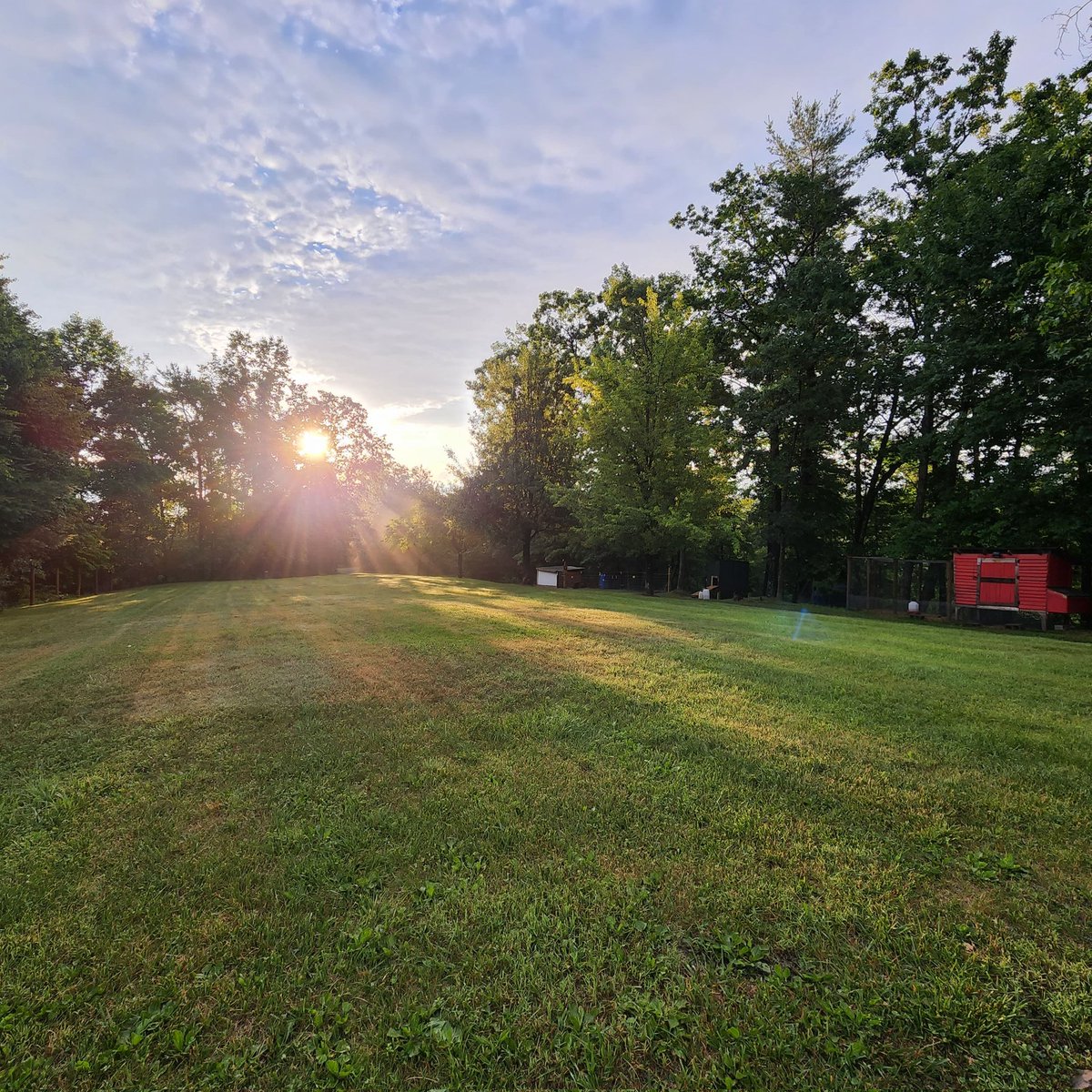 Hideaway Homestead, LLC tweet media