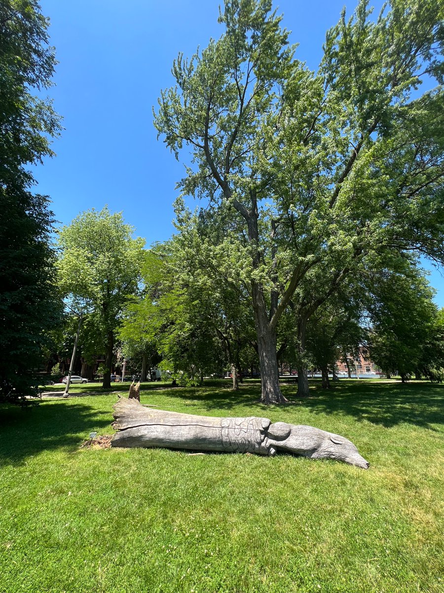 Spotted in Nichols Park. <a href="/aarondgettinger/">Aaron Gettinger</a> any insight on whether this fell due to natural causes in a storm or was vandalized?