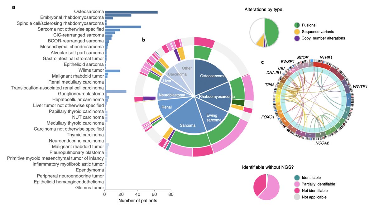 AlannaChurch_MD's tweet image. So proud to share our paper &quot;Molecular profiling identifies targeted therapy opportunities in pediatric solid cancer&quot; in @NatureMedicine with amazing co-authors led by @janeway_MD Thank you to all of our patients &amp;amp; families!!!
Read here: rdcu.be/cQgmj #molpath #pedionc
