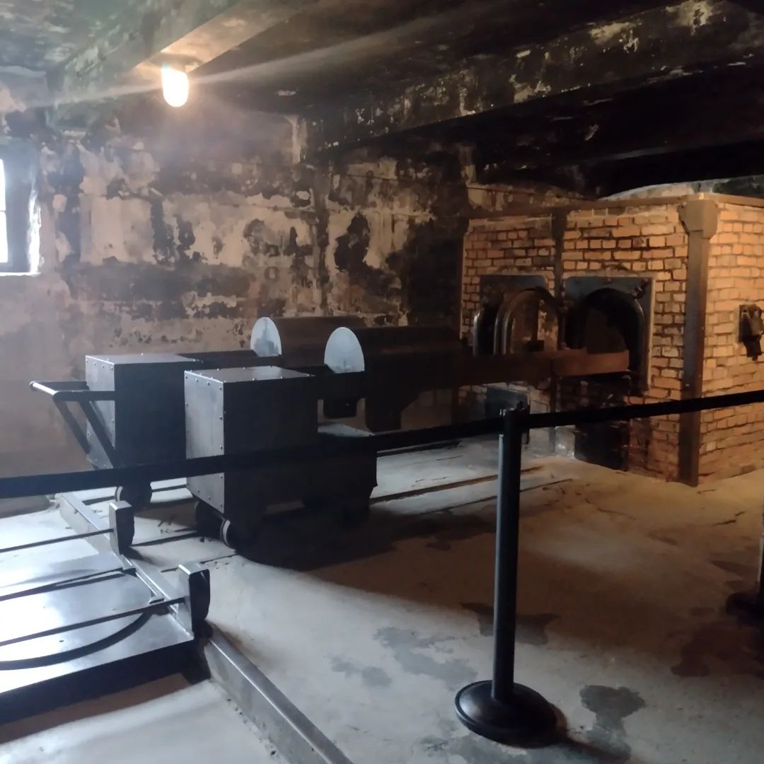 Shahryār tweet media