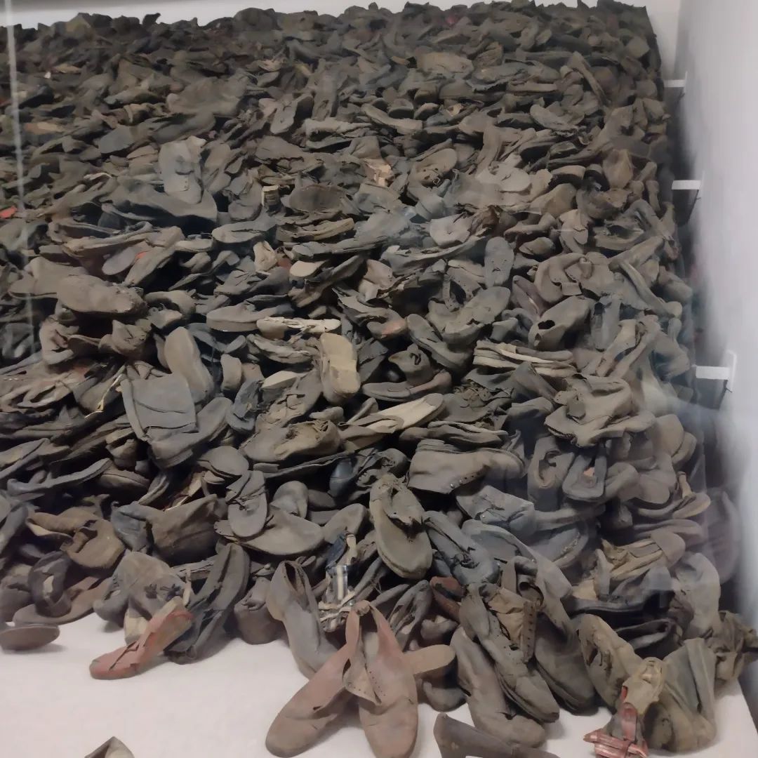 Shahryār tweet media