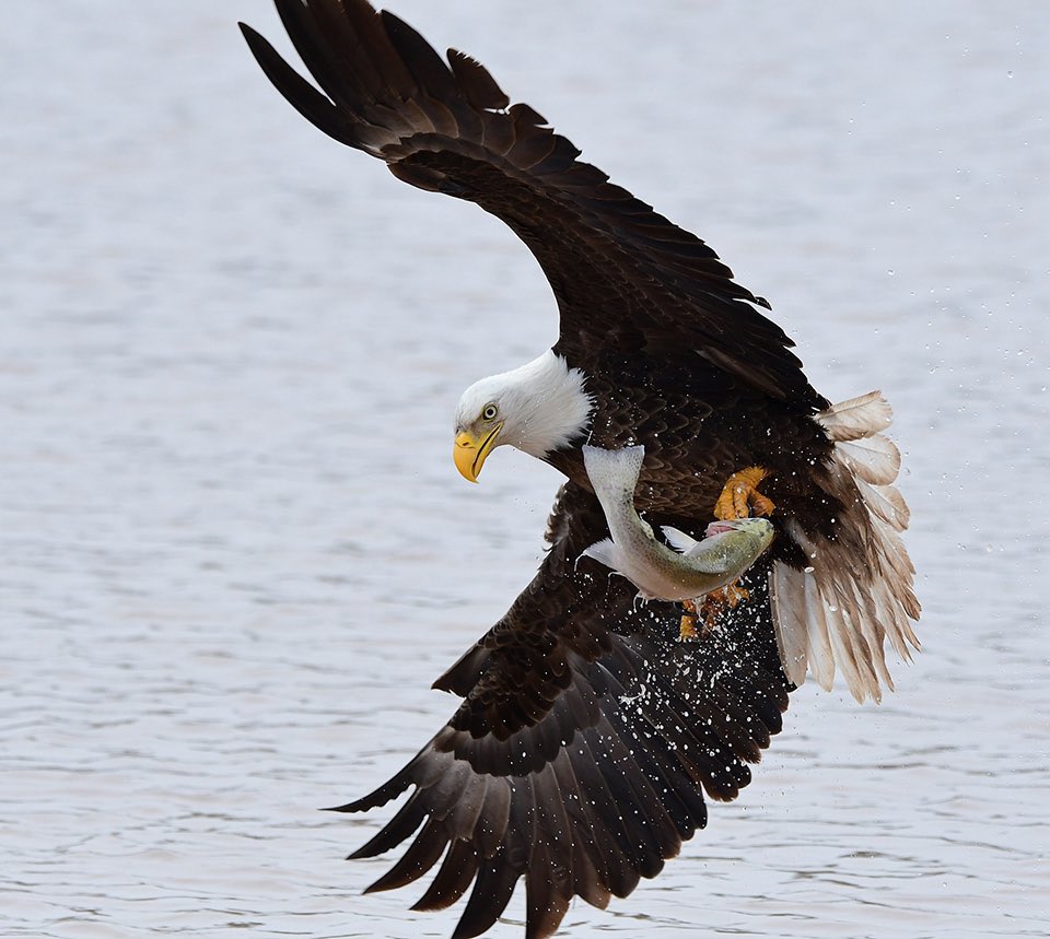 Arizona Highways tweet media