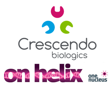 HUMABODY's tweet photo. We are looking forward to attending ON Helix in Cambridge (7 July).

If you would like to meet our team to discuss our Humabody® VH platform or T cell enhancing immuno-oncology pipeline of CD137-targetting bispecific molecules, please contact us at info@crescendobiologics.com https://t.co/lnf6X6l0i4