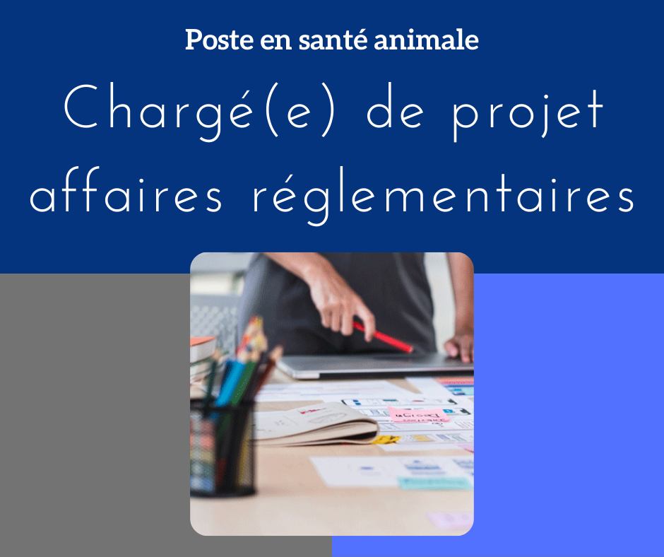 RhAxio's tweet image. ⏩ [ 𝑶𝒇𝒇𝒓𝒆 𝒅'𝒆𝒎𝒑𝒍𝒐𝒊 𝒊𝒏𝒅𝒖𝒔𝒕𝒓𝒊𝒆 𝒂𝒏𝒊𝒎𝒂𝒍𝒆 ] 
𝗖𝗵𝗮𝗿𝗴𝗲́ 𝗱𝗲 𝗽𝗿𝗼𝗷𝗲𝘁 𝗔𝗳𝗳𝗮𝗶𝗿𝗲𝘀 𝗥𝗲́𝗴𝗹𝗲𝗺𝗲𝗻𝘁𝗮𝗶𝗿𝗲𝘀 𝗛/𝗙
40 minutes de Nice

Venez découvrir 𝗻𝗼𝘁𝗿𝗲 𝗮𝗻𝗻𝗼𝗻𝗰𝗲 détaillée : bit.ly/35suqXo
#recrutement #nice