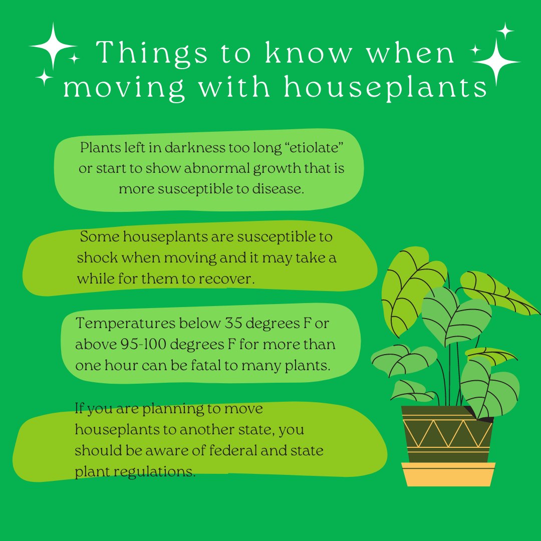 MOVINGdotORG's tweet photo. Are you a plant parent planning an interstate move? Moving with plants interstate has certain rules that must be followed - learn about them and don't be surprised! https://t.co/2RREamqnwO