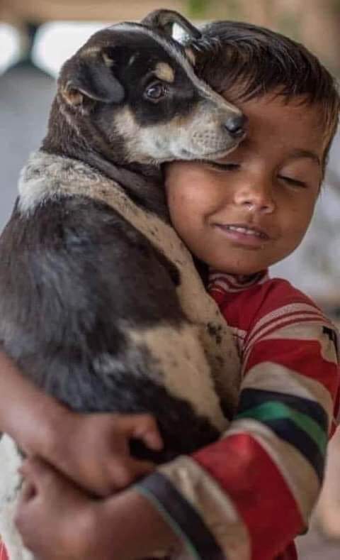 GRamirezF_D's tweet image. Enseña a tus hijos a amar y respetar a los animalitos...!!! 💗🐕🐾