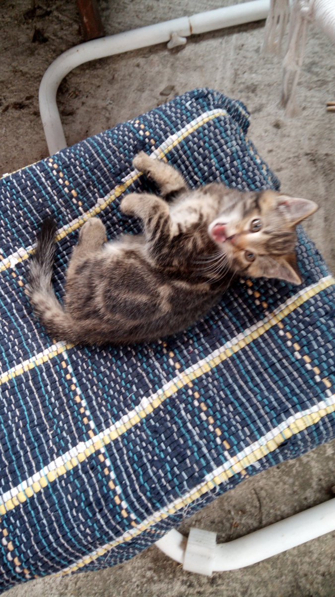 der andi❤️💜💙🐀 tweet media