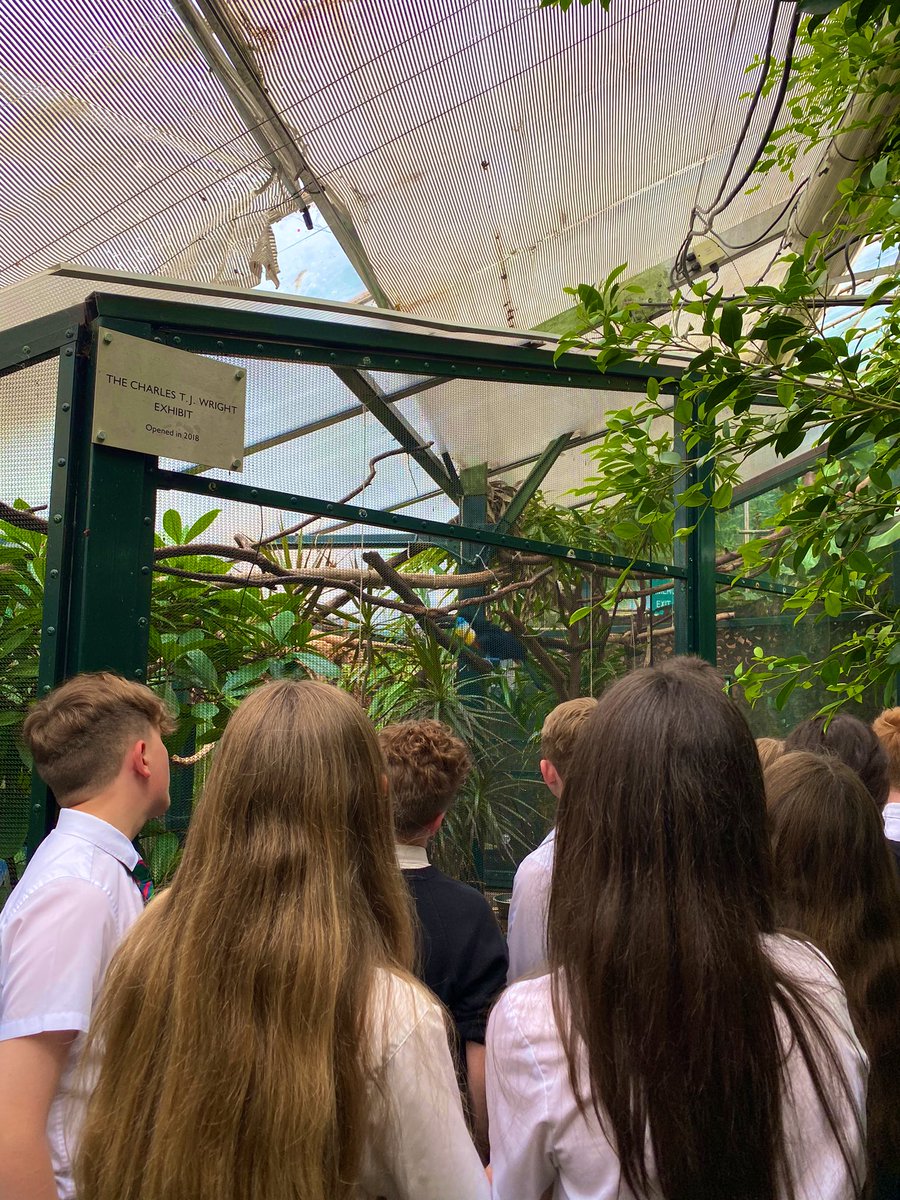 GeographyHchs's tweet photo. Year 8 have enjoyed their trips out to the @livrainforest over the past few weeks as part of their Biomes topic this term. A great experience to be immersed in a tropical rainforest and get close up to the flora and fauna! 🦥 🦎 #geography #geographytrip #biomes @HanleyCastle https://t.co/f1QkonUkUN