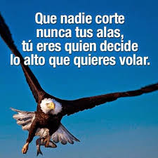 jguerrady tweet picture