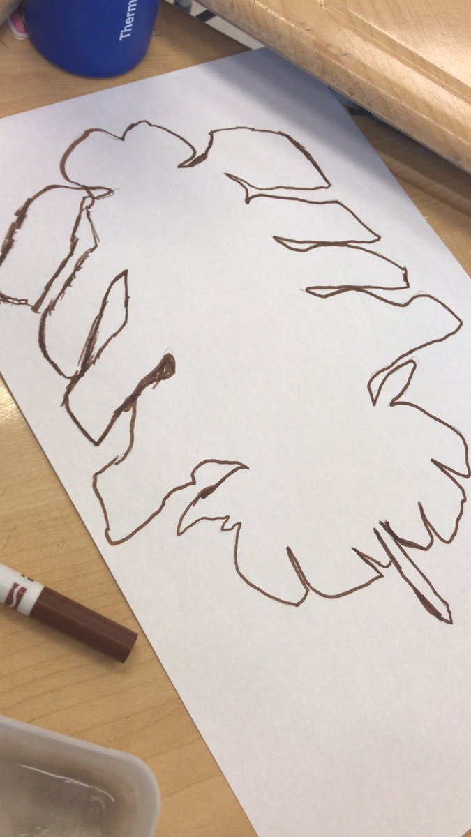 Nous créons des insectes avec les pattern blocks aujourd’hui! C’est cool non?! <a href="/eastlakeFI/">East Lake French Immersion</a> <a href="/EastLakeRVS/">East Lake School</a> <a href="/rvsed/">Rocky View Schools</a> #rvsed #STEAM #rvsnumeracy